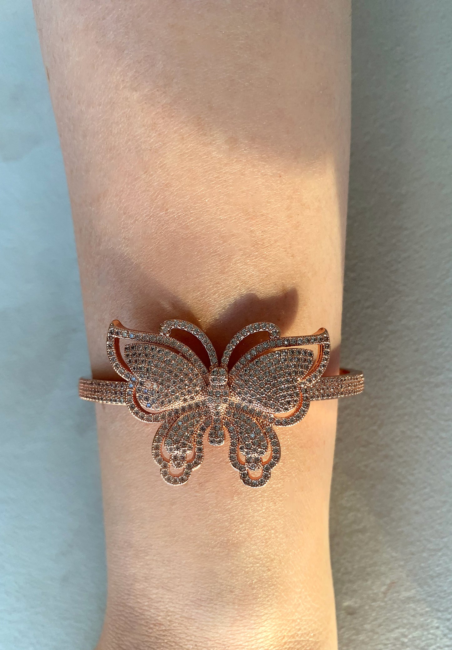 Papillon