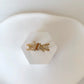 Gold Dragonfly Whisper