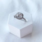 Celestial Promise